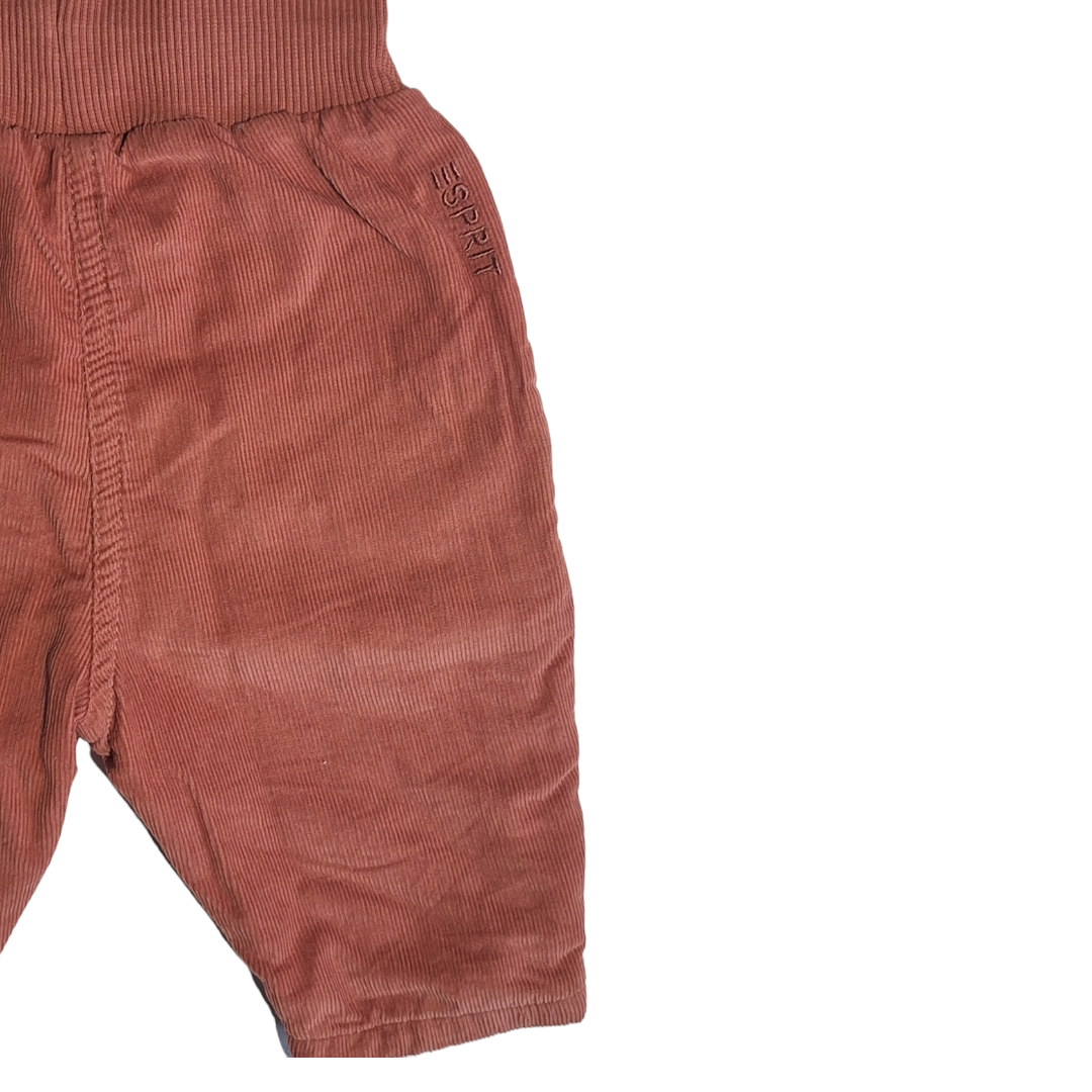 Velvet ribbed pants