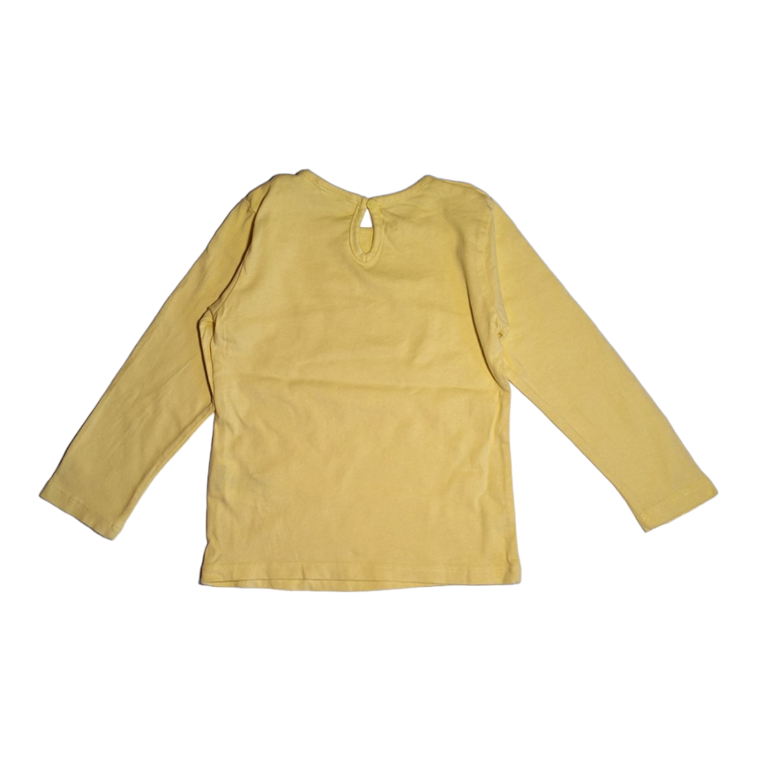 Shirt met giraffe -18/24M