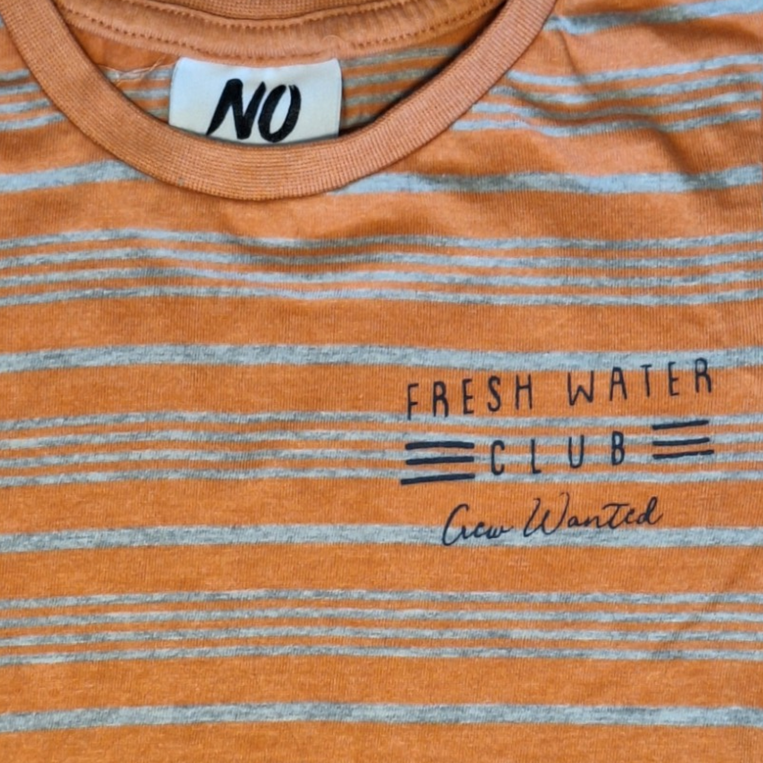 Gestreept T-shirt FRESH WATER CLUB