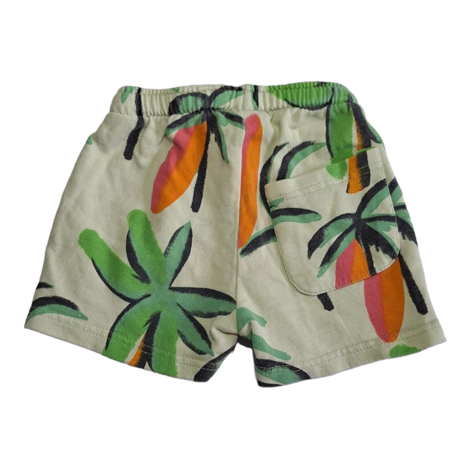 Sweat shorts palm and surf - 9/12M