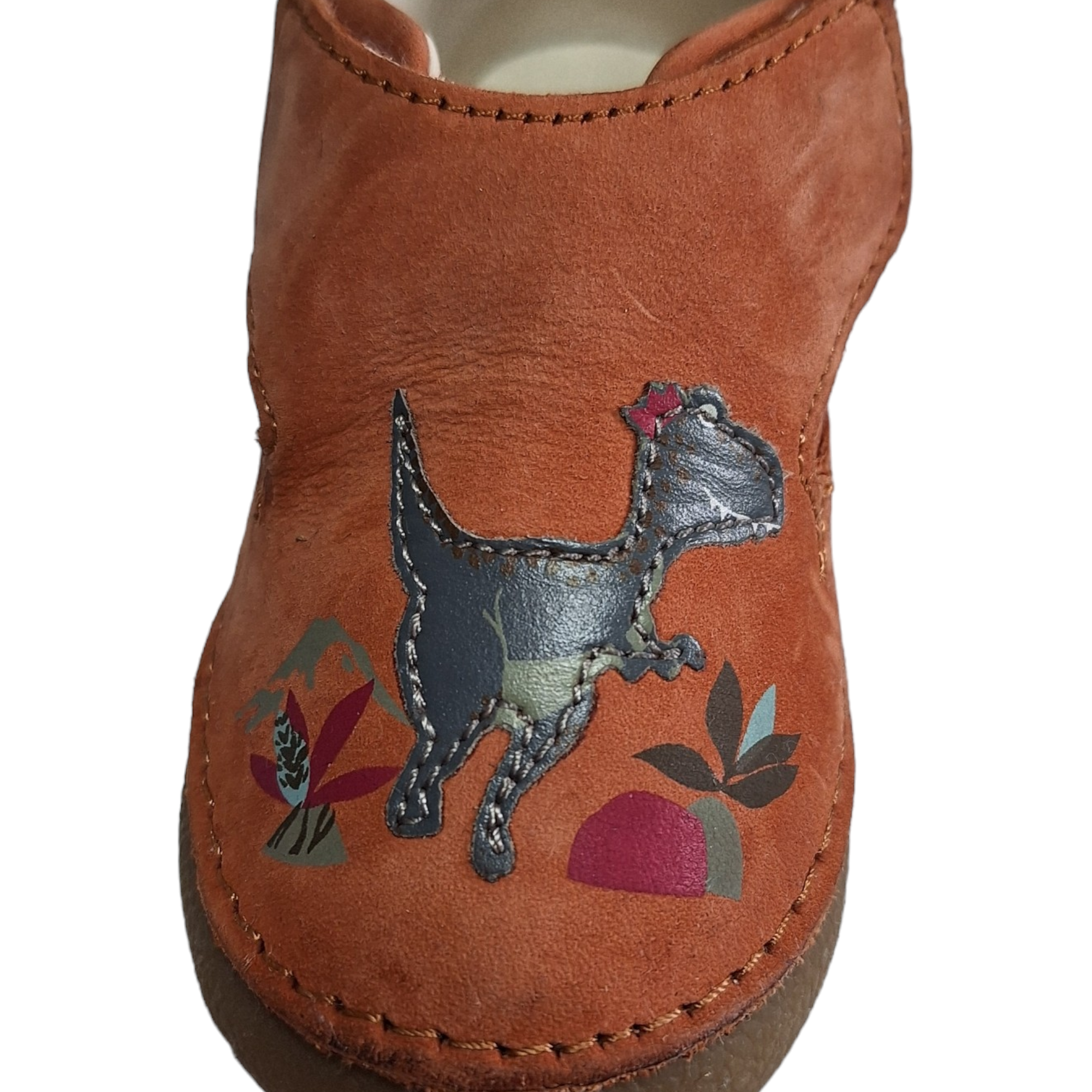 Instapschoenen dinosaurus - 19