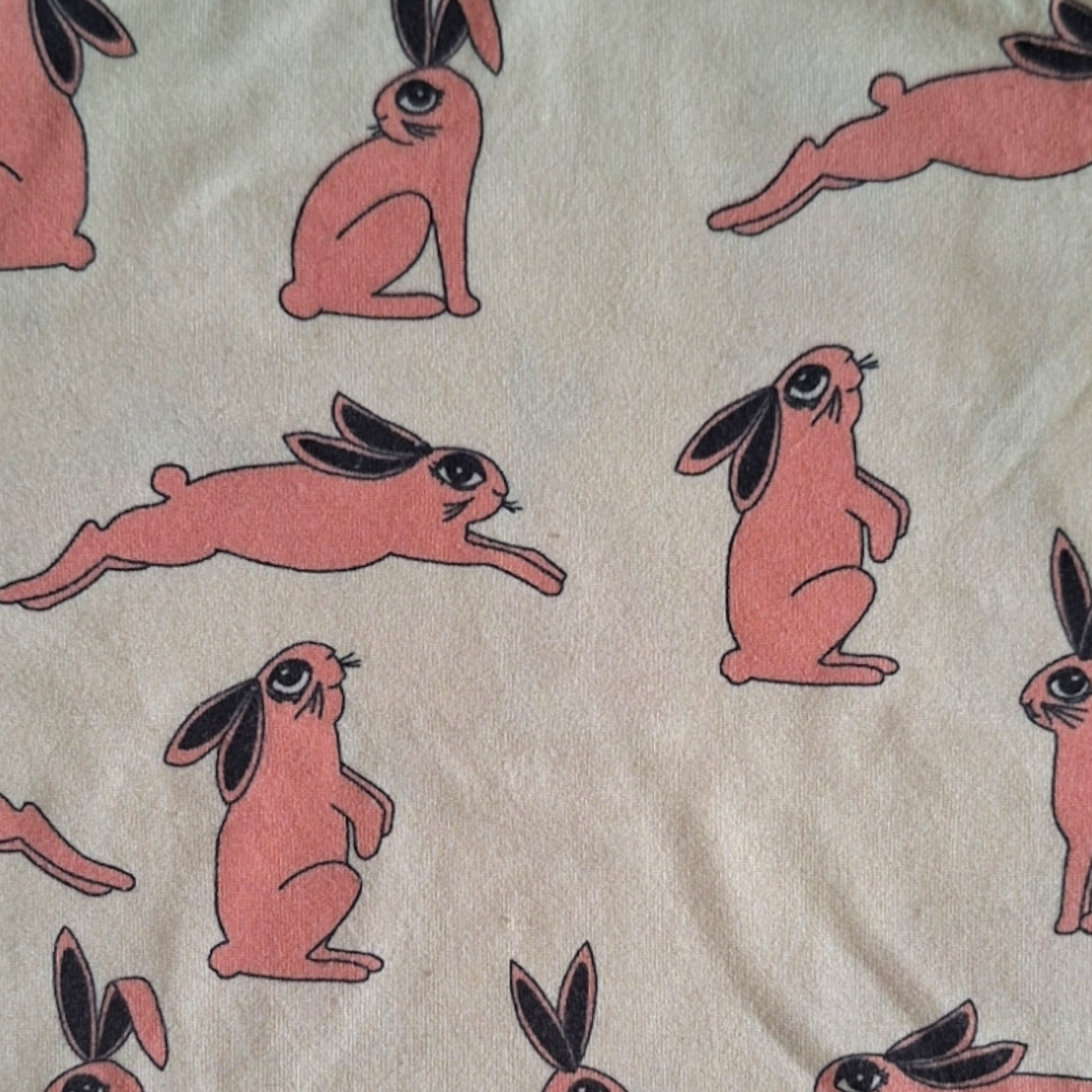 Bunny biologisch shirt met lange mouwen - 80/86CM