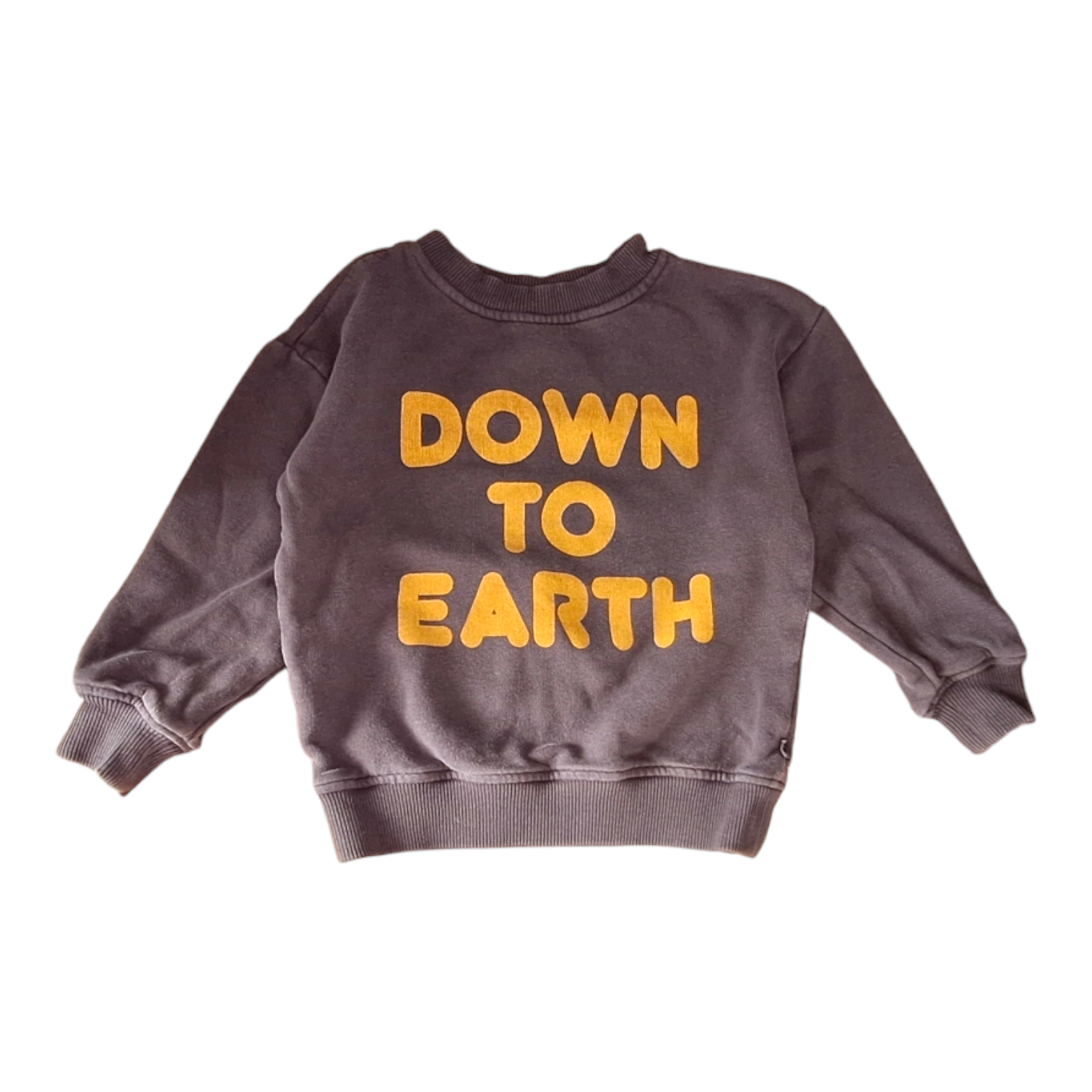 DOWN TO EARTH trui - 2Y