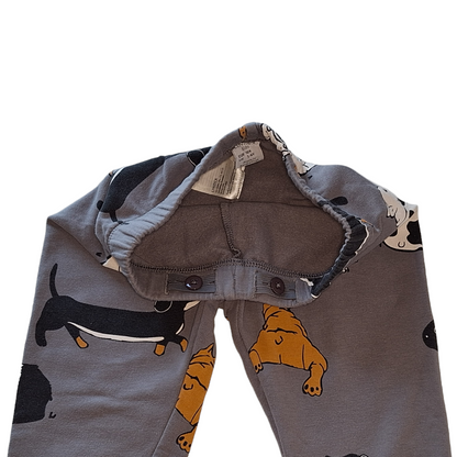 Legging honden