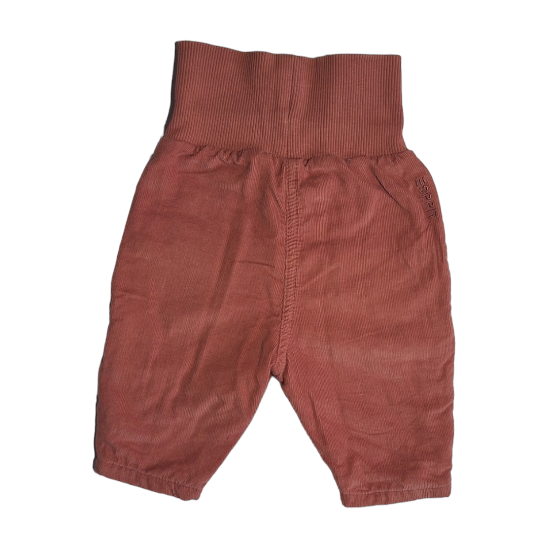 Velvet ribbed pants