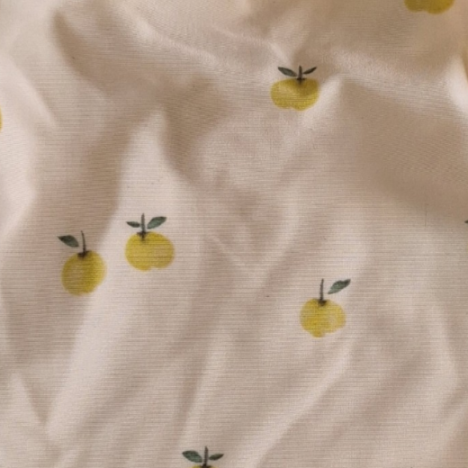 Swimsuit with apples -6M
